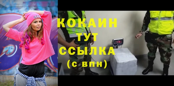дживик Арсеньев