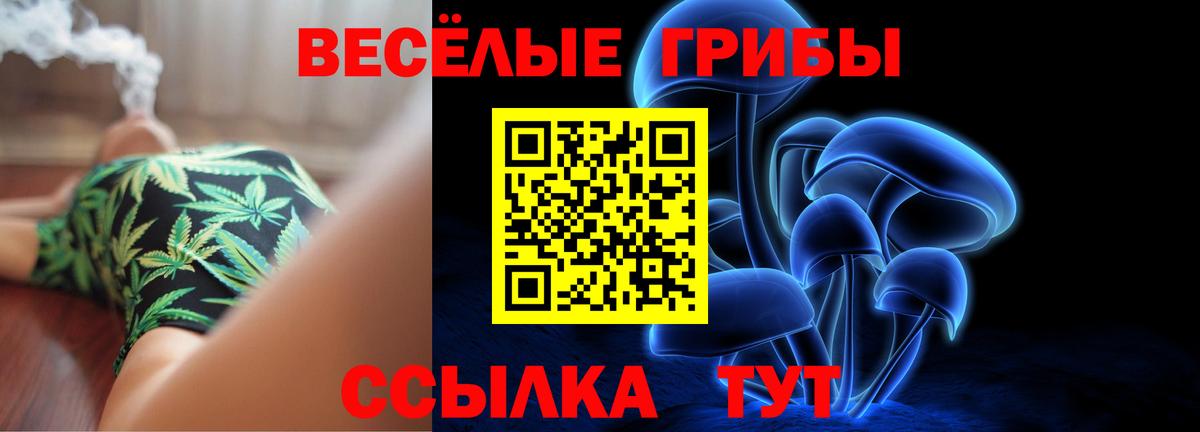 Псилоцибиновые грибы мицелий  Вход с VPN  Краснотурьинск 